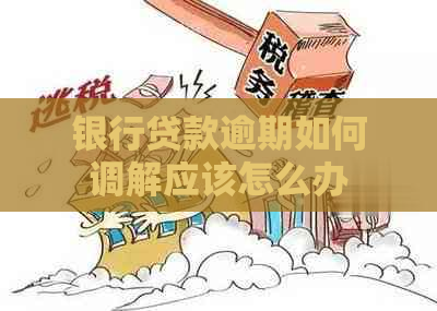 银行贷款逾期如何调解应该怎么办