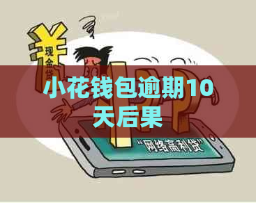 小花钱包逾期10天后果