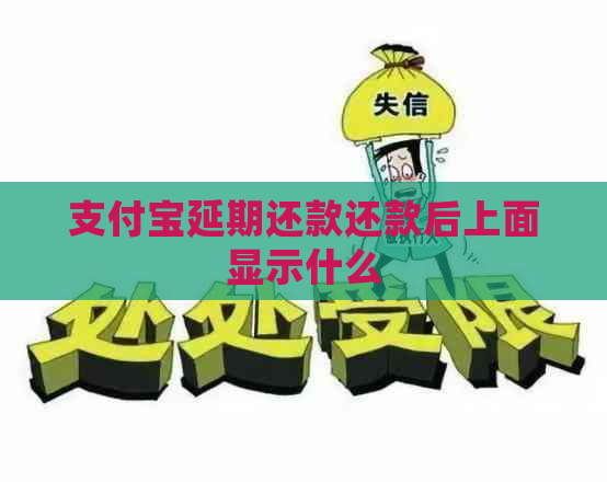 支付宝延期还款还款后上面显示什么