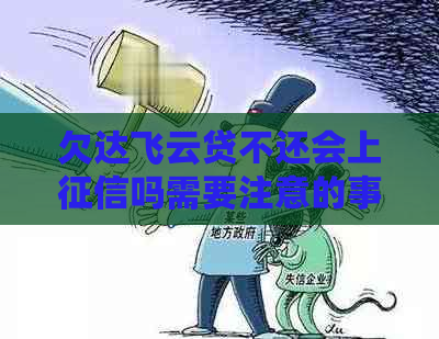 欠达飞云贷不还会上吗需要注意的事项