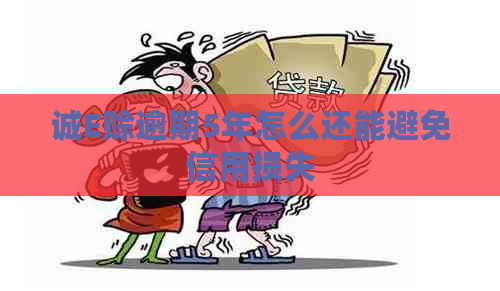 诚E赊逾期5年怎么还能避免信用损失