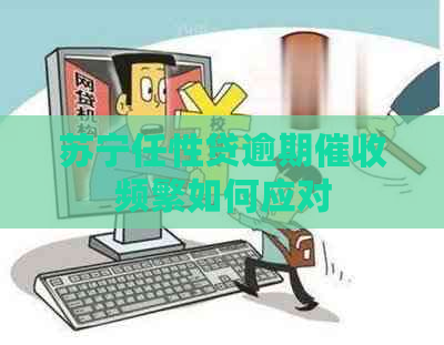 苏宁任性贷逾期频繁如何应对