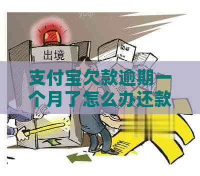 支付宝欠款逾期一个月了怎么办还款方法