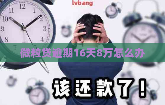 微粒贷逾期16天8万怎么办