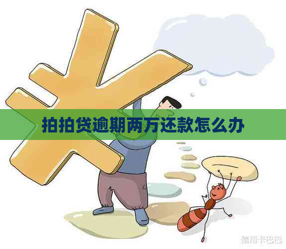 逾期两万还款怎么办