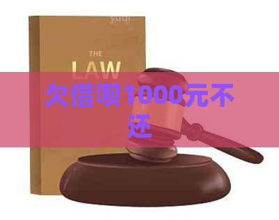 欠借呗1000元不还