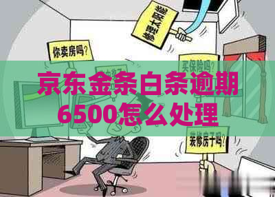 京东金条白条逾期6500怎么处理