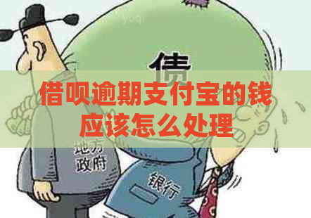 借呗逾期支付宝的钱应该怎么处理