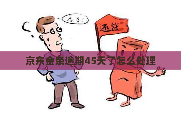 京东金条逾期45天了怎么处理