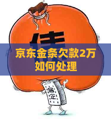 京东金条欠款2万如何处理