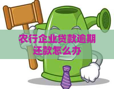 农行企业贷款逾期还款怎么办