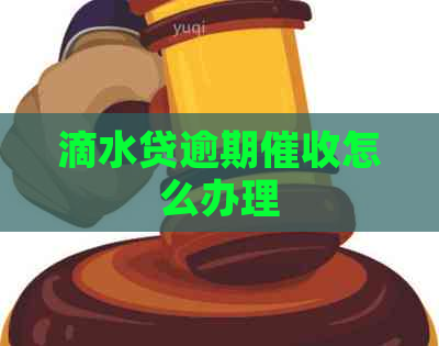 滴水贷逾期怎么办理