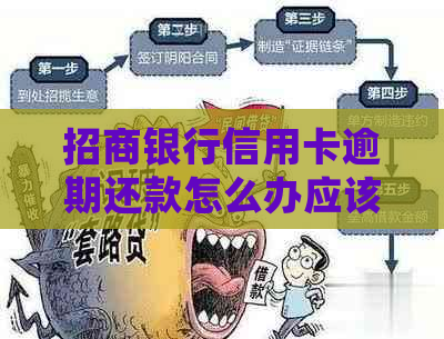 招商银行信用卡逾期还款怎么办应该怎么处理