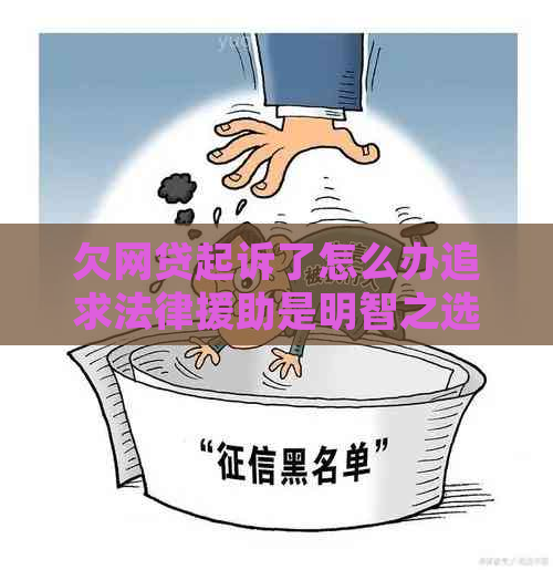 欠网贷起诉了怎么办追求法律援助是明智之选