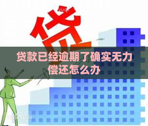 贷款已经逾期了确实无力偿还怎么办