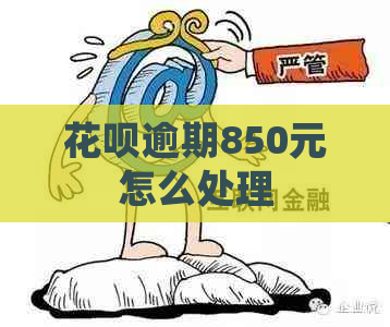 花呗逾期850元怎么处理