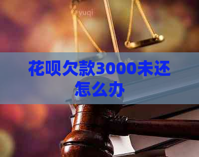 花呗欠款3000未还怎么办