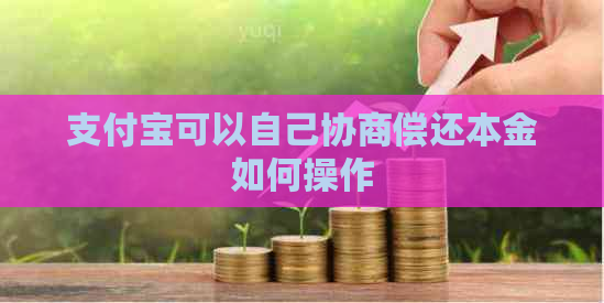 支付宝可以自己协商偿还本金如何操作