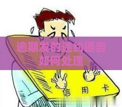 逾期发的违约通告如何处理