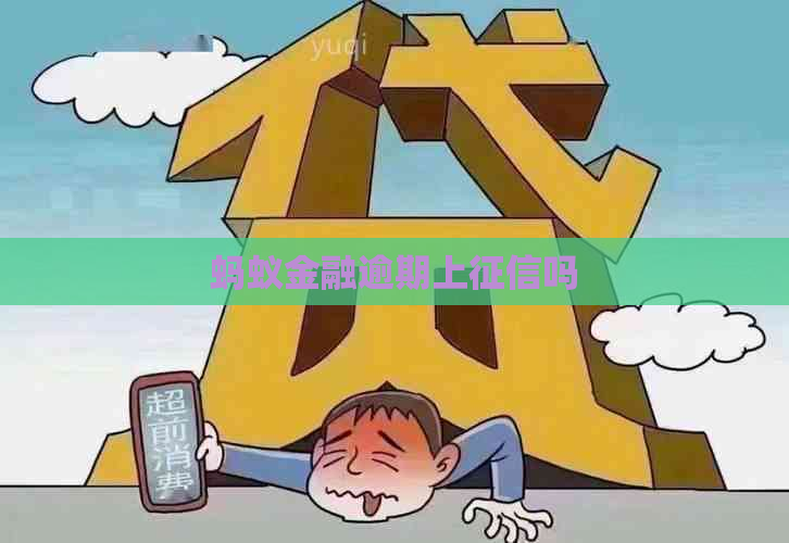 蚂蚁金融逾期上吗