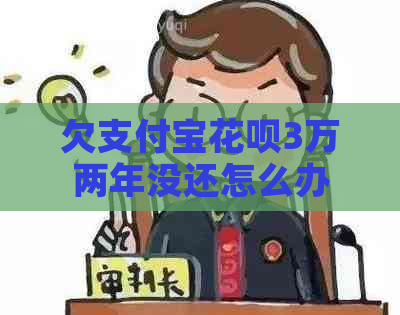 欠支付宝花呗3万两年没还怎么办