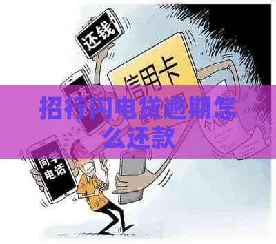 招行闪电贷逾期怎么还款