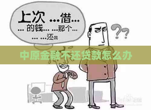 中原金融不还贷款怎么办