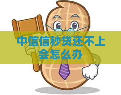 中信信秒贷还不上会怎么办