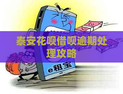 泰安花呗借呗逾期处理攻略