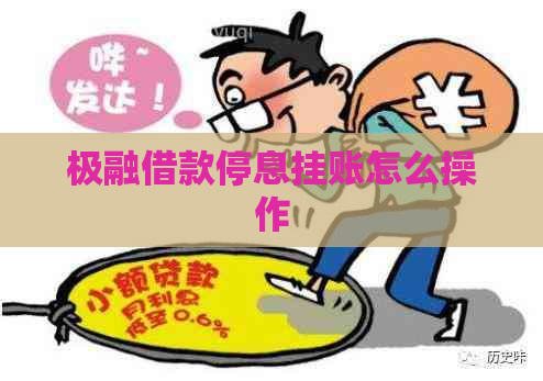 极融借款停息挂账怎么操作