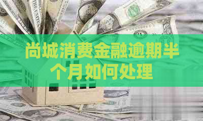 尚城消费金融逾期半个月如何处理