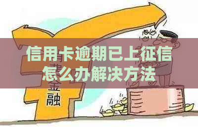 信用卡逾期已上怎么办解决方法