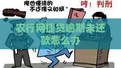 农行网捷贷逾期未还款怎么办