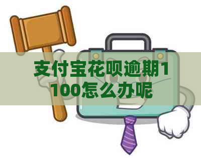 支付宝花呗逾期1100怎么办呢