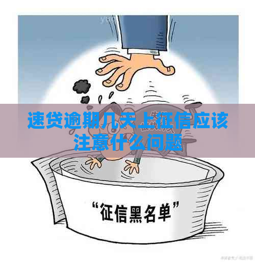 速贷逾期几天上应该注意什么问题