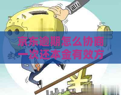 京东逾期怎么协商一次还本金有效方法