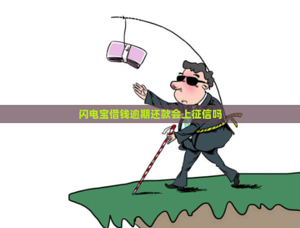 闪电宝借钱逾期还款会上吗