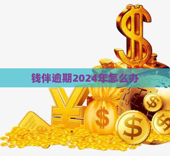 钱伴逾期2024年怎么办