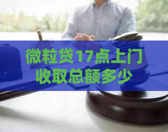 微粒贷17点上门收取总额多少