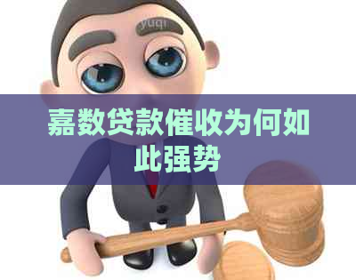 嘉数贷款为何如此强势