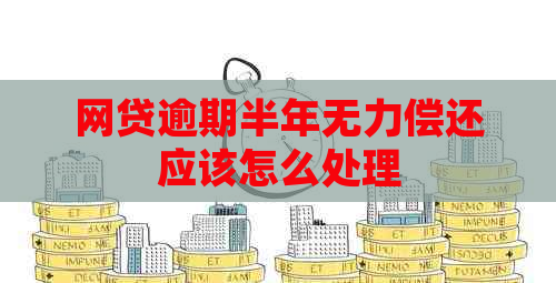 网贷逾期半年无力偿还应该怎么处理