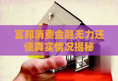 富邦消费金融无力还债真实情况揭秘