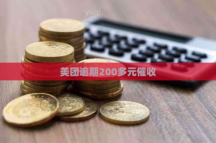 美团逾期200多元