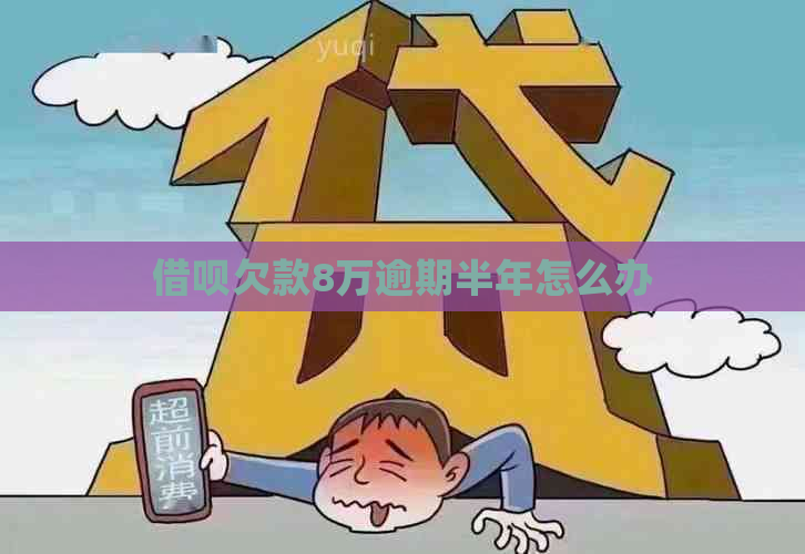 借呗欠款8万逾期半年怎么办