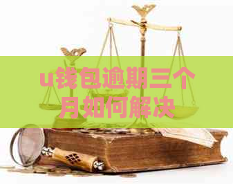 u钱包逾期三个月如何解决