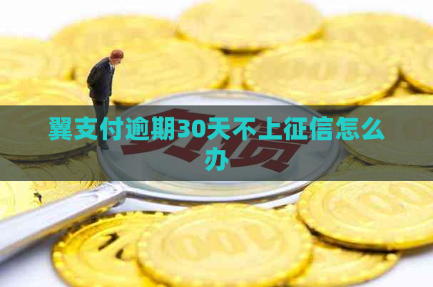 翼支付逾期30天不上怎么办