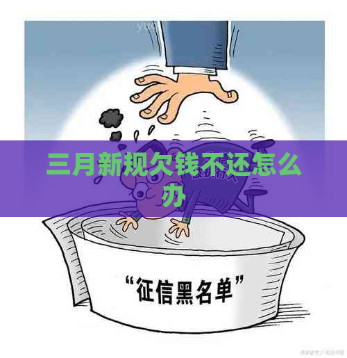 三月新规欠钱不还怎么办