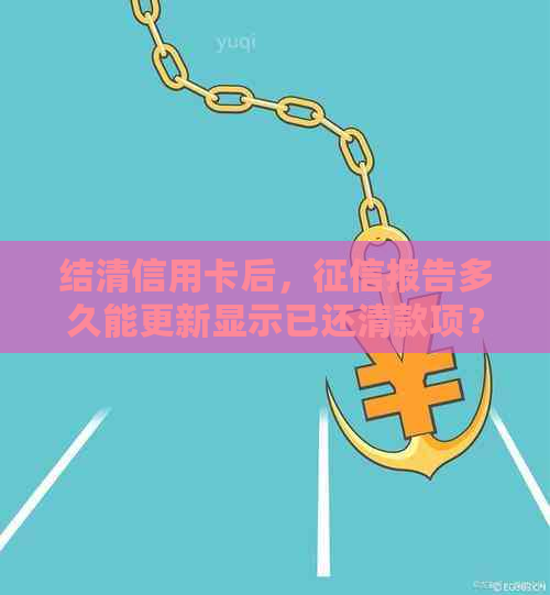 结清信用卡后，报告多久能更新显示已还清款项？