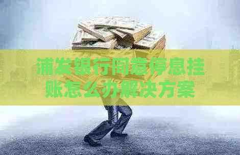 浦发银行同意停息挂账怎么办解决方案