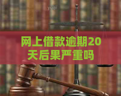 网上借款逾期20天后果严重吗